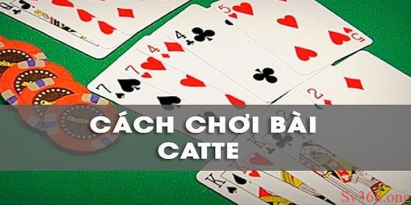 cách chơi game bài Catte cách chơi game bài Catte