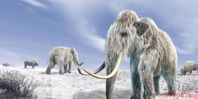 Giấc mộng thấy voi ma mút