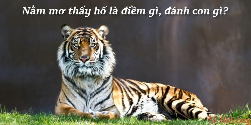 Nằm mơ thấy cọp Nằm mơ thấy cọp bị nhốt trong chuồng