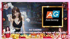 Trạm dừng chân hoàn hảo cho các cược thủ