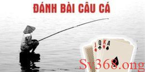 Cách chơi bài câu cá