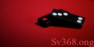 Giới thiệu về bộ môn bài cẩu