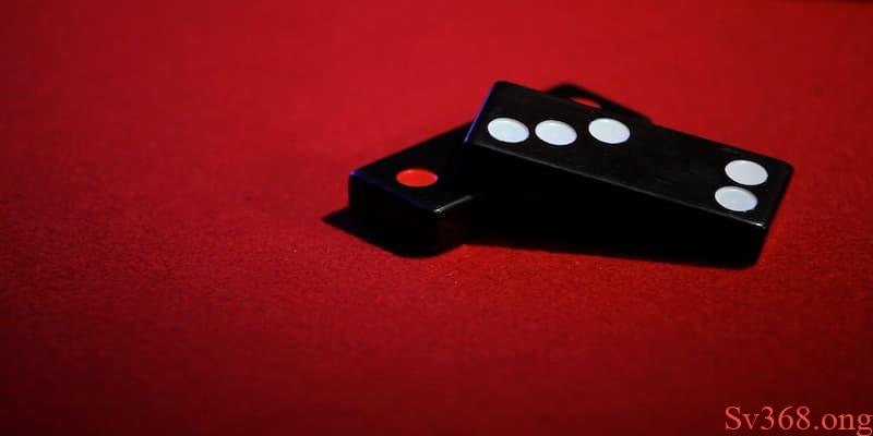 Giới thiệu về bộ môn bài cẩu