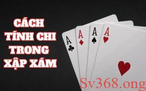 Giới thiệu về chi trong bài binh xập xám cho tân binh