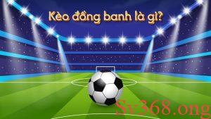 Tìm hiểu định nghĩa kèo đồng banh là gì?