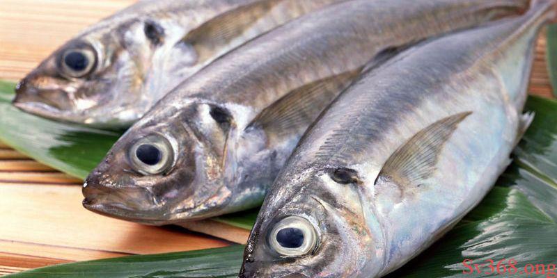 Mơ Thấy Ăn Cá - Tìm Hiểu Các Điềm Báo Đặc Biệt Từ Sv368 1 mơ thấy ăn cá