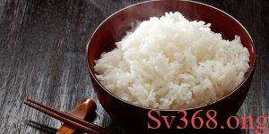 Góc nhìn tổng quan về việc mơ thấy ăn cơm