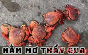 Tìm hiểu mơ thấy cua