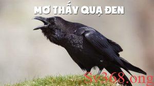 mơ thấy quạ đen