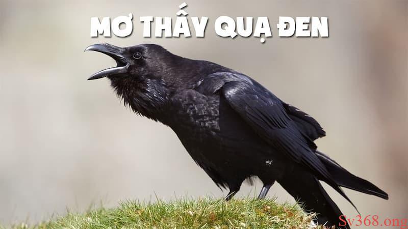 Giải Mã Giấc Mơ Thấy Quạ Đen - Chọn Số Gì Để May Mắn? 1 mơ thấy quạ đen